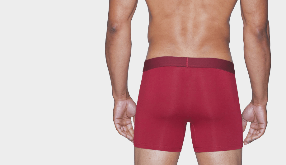 Body X Solid Briefs-bx07b, Bx07b-wood Wine