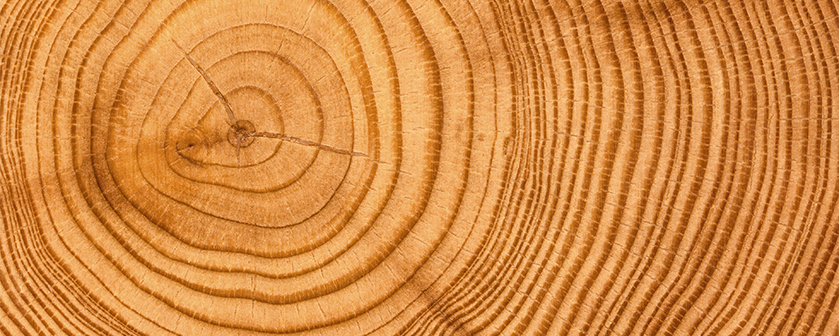 Wood